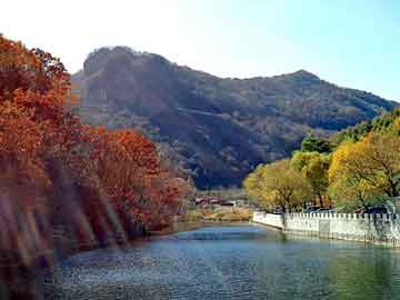 管家婆黑白马报图库，yy频道设计